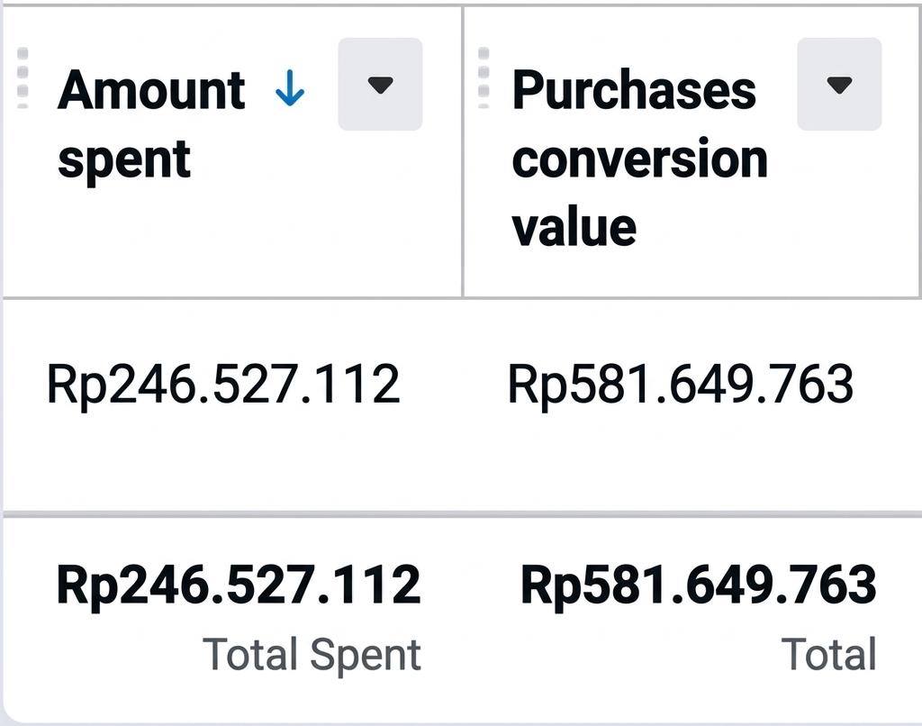 Meta Ads Performance Report · IDR 581M Revenue